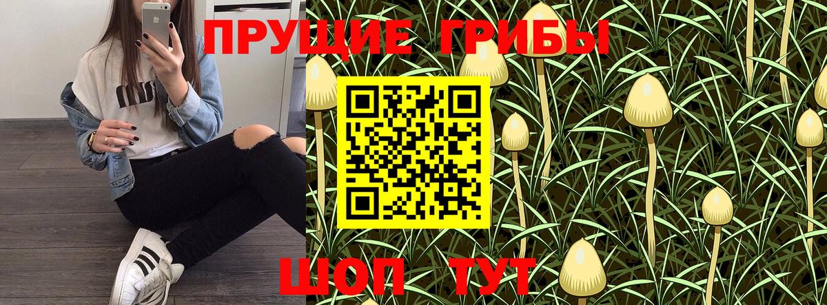 Саров  Галлюциногенные грибы ЛСД  Вход с VPN 