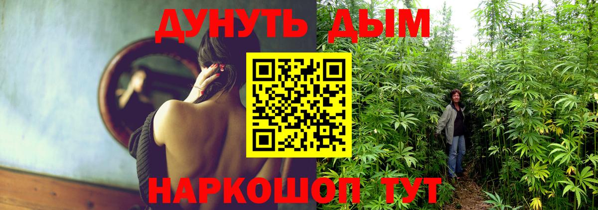 Марихуана план Саров